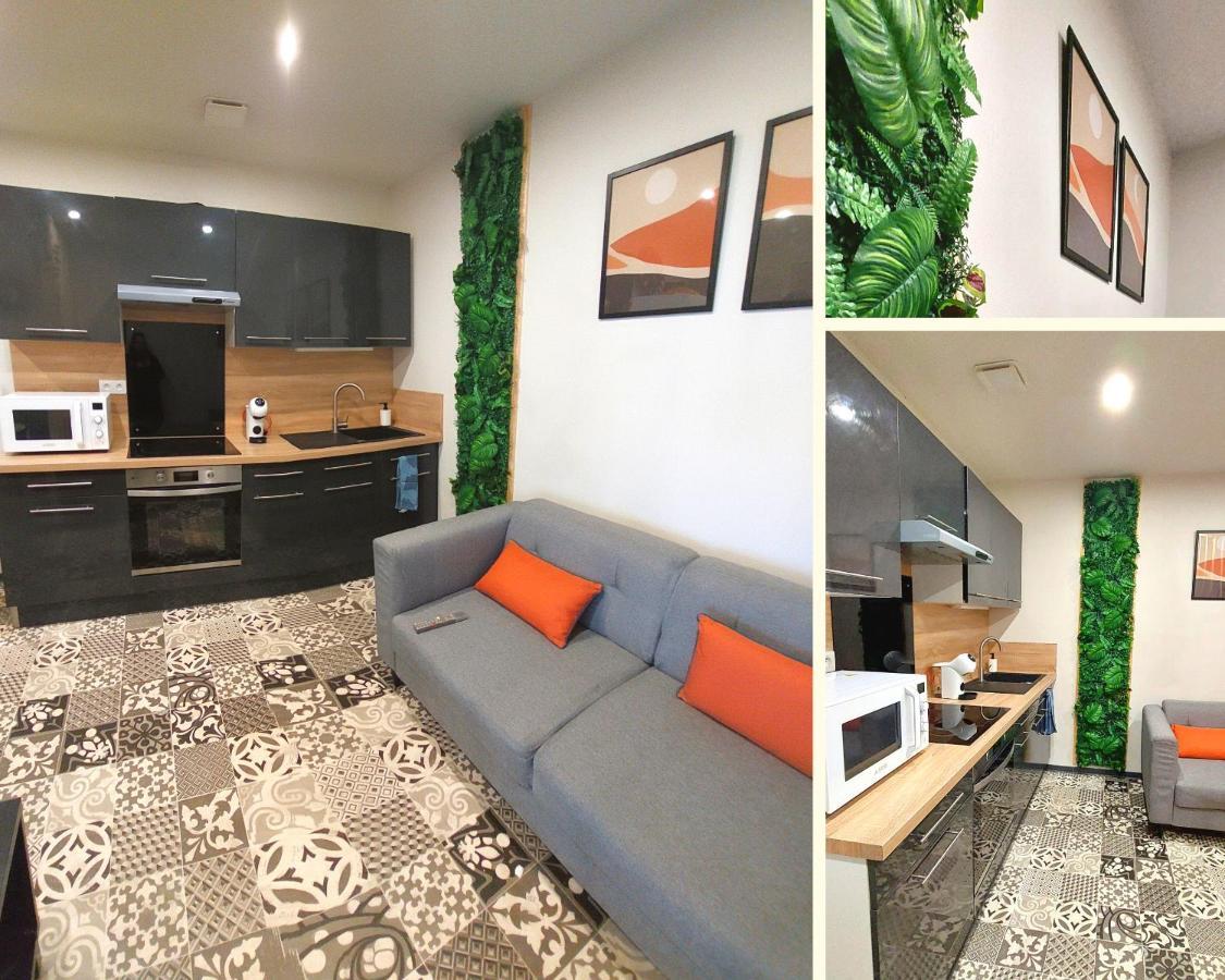 Artgrey * Ideal Pro * Roanne Secteur Gare Et Rue Pietonnes Екстер'єр фото