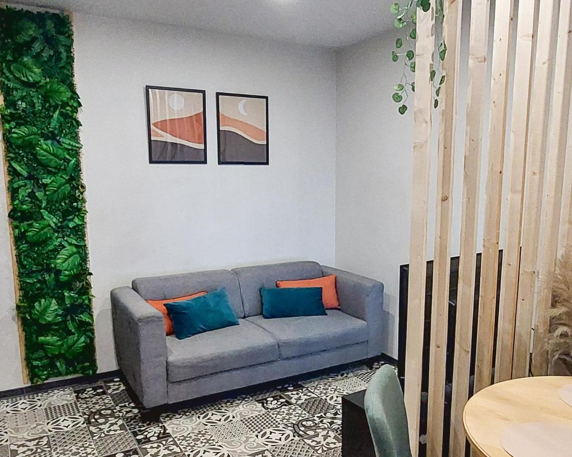 Artgrey * Ideal Pro * Roanne Secteur Gare Et Rue Pietonnes Екстер'єр фото